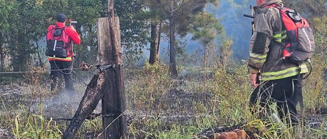 GDOR. ROCA: Bomberos controlaron un incendio de malezas en Colonia Santa Rosa