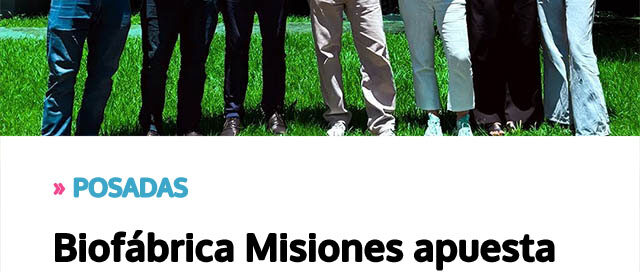 POSADAS: Biofábrica Misiones apuesta al desarrollo del cultivo de hongos como alternativa productiva sustentable